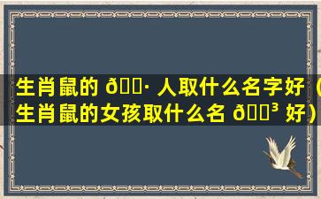 生肖鼠的 🌷 人取什么名字好（生肖鼠的女孩取什么名 🐳 好）